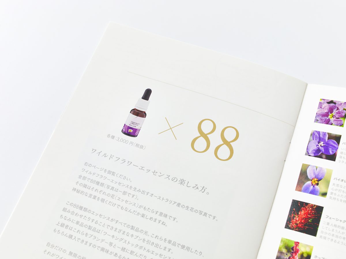 化粧品パンフレット・コンセプトブック・コンセプトページ