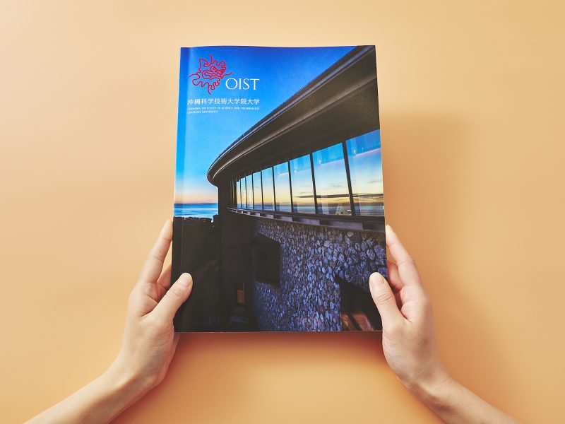 大学パンフレット・表紙デザイン