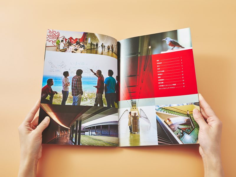 大学パンフレット・見開きページデザイン
