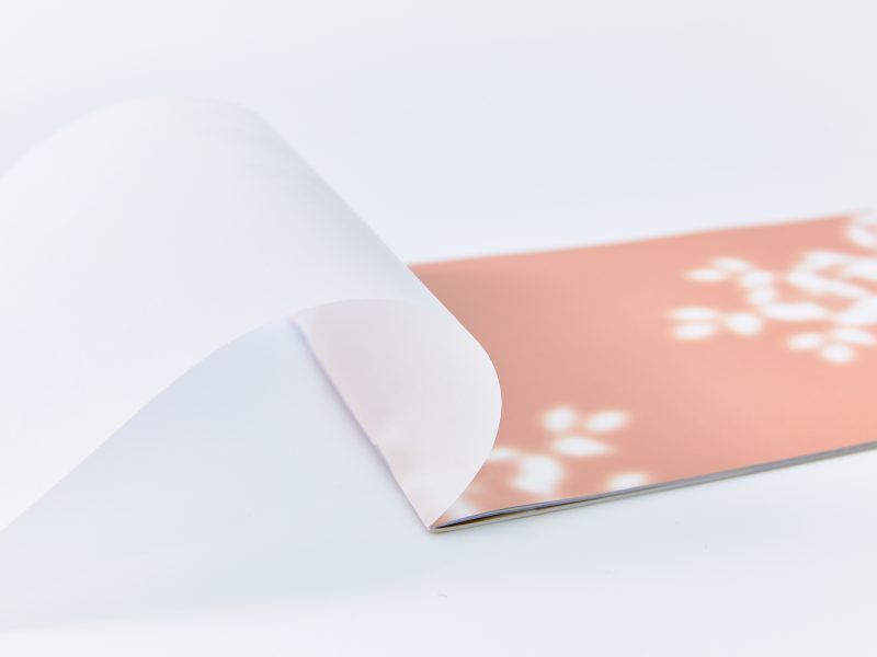 トレーシングペーパーを上手に使った高級感あるパンフレット